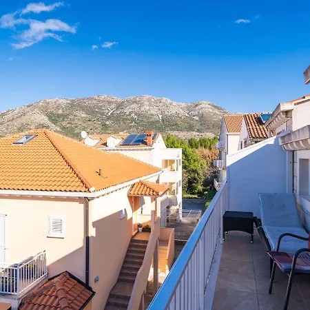 Pavo * ツァヴタット